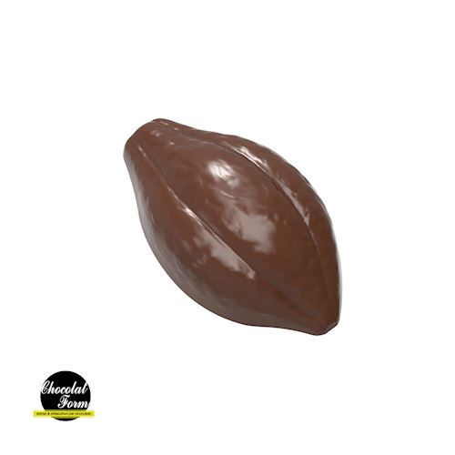 Chocoladevorm cacaoboon