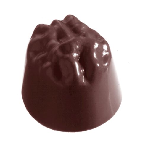 Chocoladevorm nootmanon