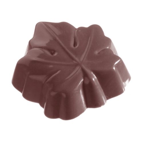 Chocoladevorm canadees blad