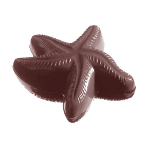 Chocoladevorm zeesterretje