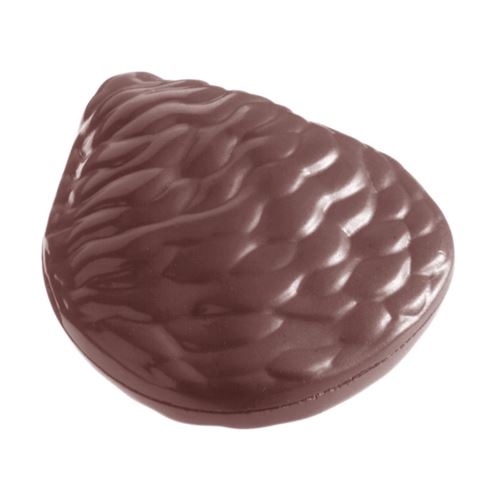 Chocoladevorm oester