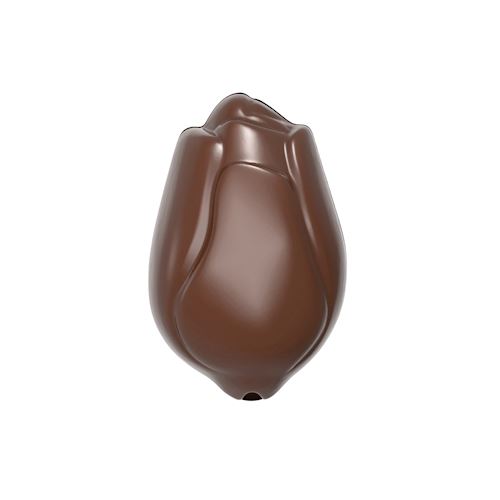 Chocoladevorm tulp
