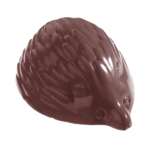 Chocoladevorm egel