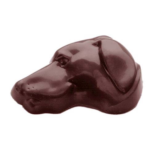 Chocoladevorm hondekop