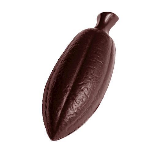 Chocoladevorm cacaoboon