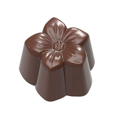 Chocoladevorm violet klein