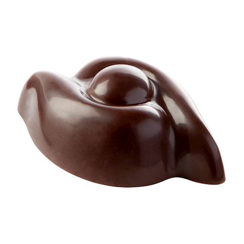 Chocoladevorm  - Massimo Carnio
