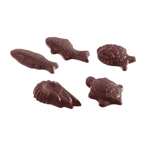 Chocoladevorm karak zeevruchten 5 fig.