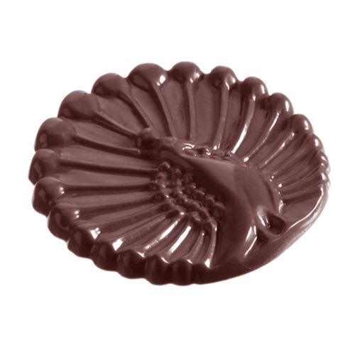 Chocoladevorm pauwkarak