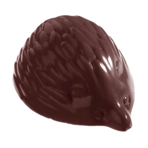 Chocoladevorm egel