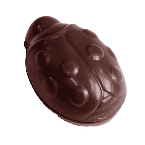 Chocoladevorm lieveheersbeestje