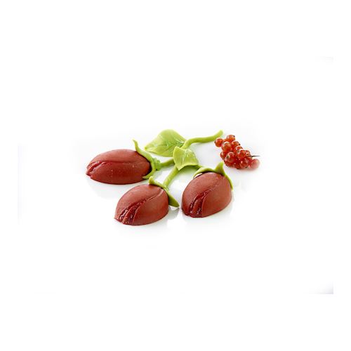 Tulp 76,5 x 50,5 mm