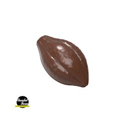 Chocoladevorm cacaoboon