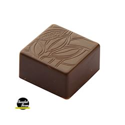 Chocoladevorm praline vierkant cacaoboon