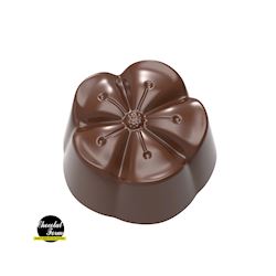 Chocoladevorm Mochi 4