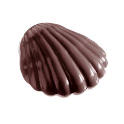 Chocoladevorm grote schelp