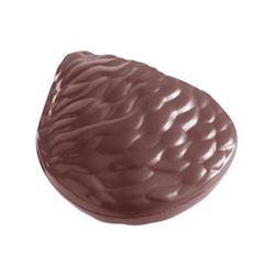 Chocoladevorm oester