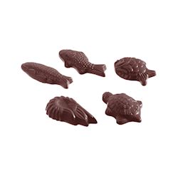 Chocoladevorm karak zeedieren 5 fig.