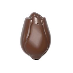 Chocoladevorm tulp