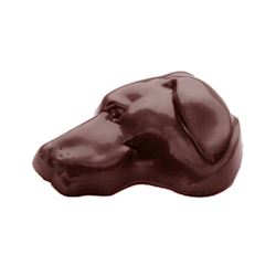 Chocoladevorm hondekop