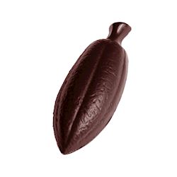 Chocoladevorm cacaoboon