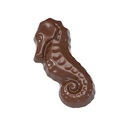 Chocoladevorm zeepaardje