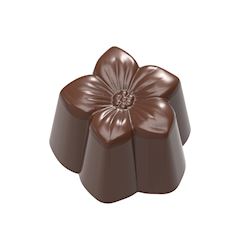 Chocoladevorm violet klein