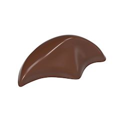 Chocoladevorm praline - Dedy Sutan