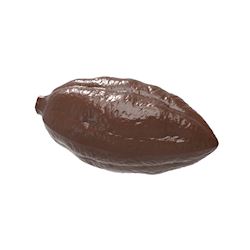 Chocoladevorm cacaoboon zonder steel
