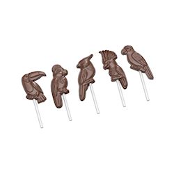 Chocoladevorm lolly tropische vogels