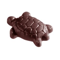 Chocoladevorm schildpad