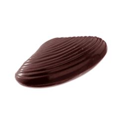 Chocoladevorm driehoekmossel