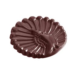 Chocoladevorm pauwkarak