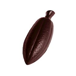 Chocoladevorm cacaoboon