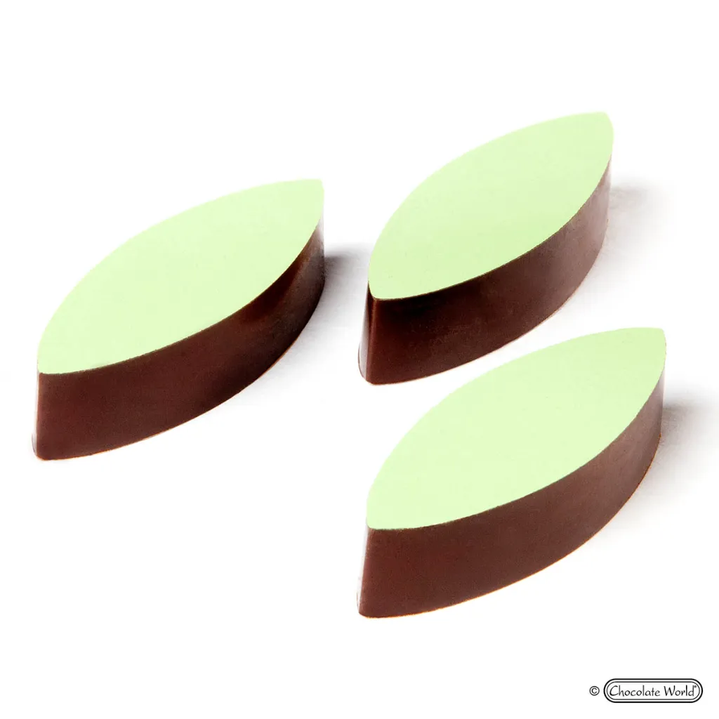 1000L27_B.webp
