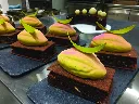 CACAO120_A.webp