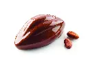 CACAO120_B.webp