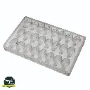 CF0101_P.webp