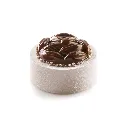 COCOA35_A.webp