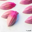 CW1558_NK1.webp
