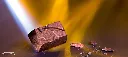 CW1619_A.webp