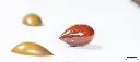 CW1673_A.webp