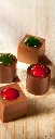 CW1695_A.webp