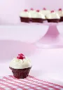 CW1776_A.webp