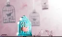 CW1785_A.webp