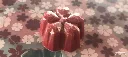 CW1918_A.webp