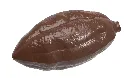 CW1925_A.webp