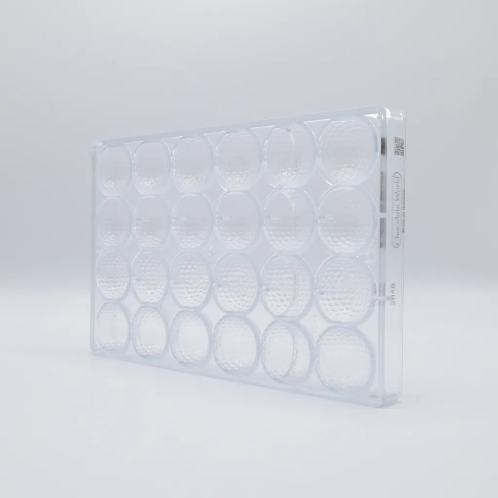 CW2048_PT.webp