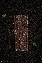 CW2460_F.webp