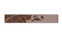 CW2497_A.webp